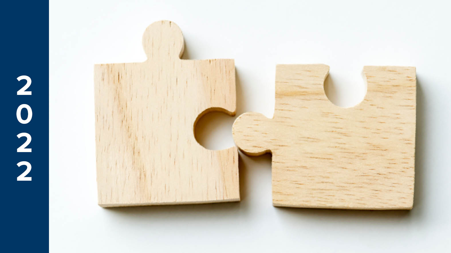 Wooden puzzle pieces