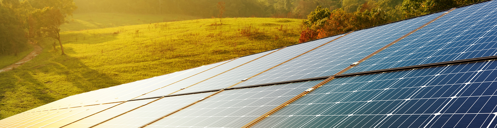 Photo of solar panels