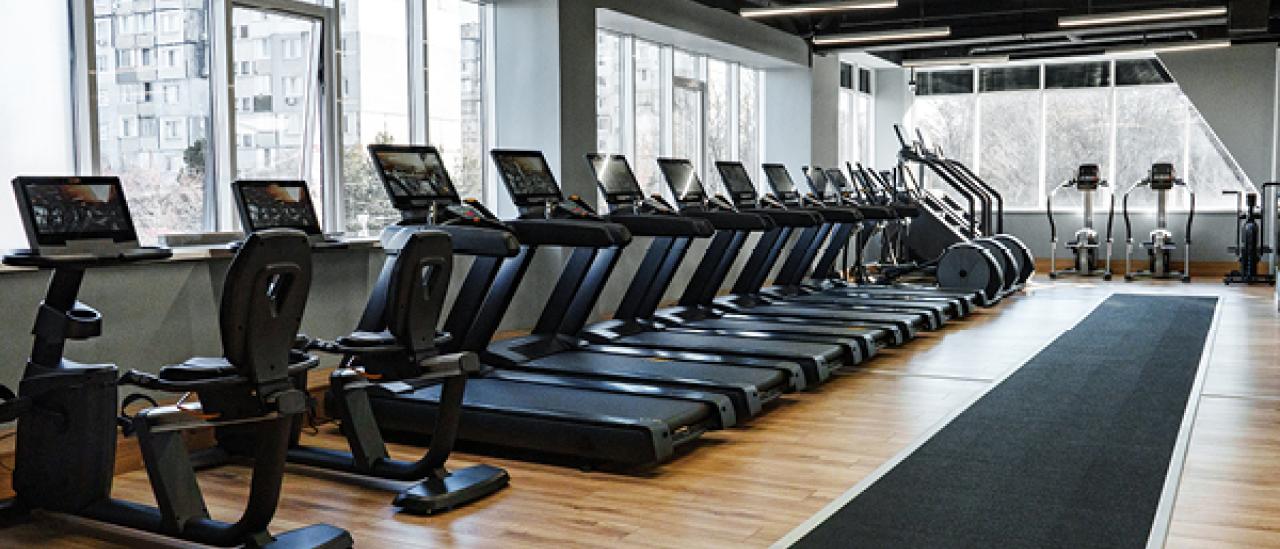 A gym with rows of treadmills and large windows