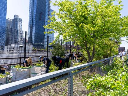 wpcarey_highline_gardening_event