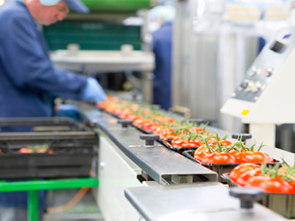 The inside of a food production facility with a line of fresh tomatoes in the foreground.