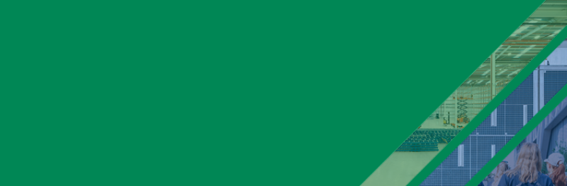Green background with stripes